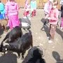 VÝLET NA FARMU APOLENKA, 27. 4. 2014