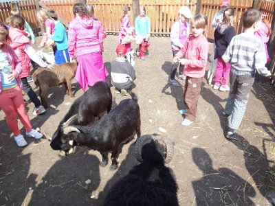 VÝLET NA FARMU APOLENKA, 27. 4. 2014