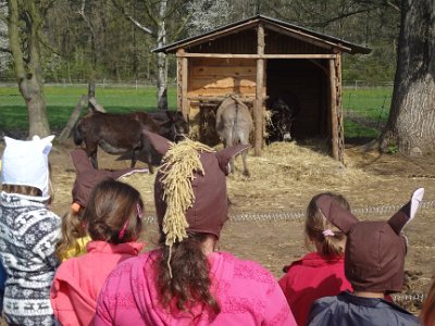 VÝLET NA FARMU APOLENKA, 27. 4. 2014