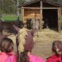 VÝLET NA FARMU APOLENKA, 27. 4. 2014