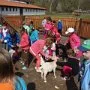 VÝLET NA FARMU APOLENKA, 27. 4. 2014
