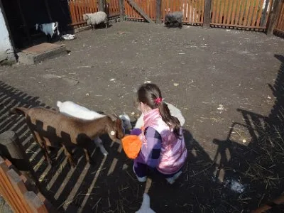 VÝLET NA FARMU APOLENKA, 27. 4. 2014