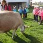 VÝLET NA FARMU APOLENKA, 27. 4. 2014