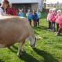 VÝLET NA FARMU APOLENKA, 27. 4. 2014
