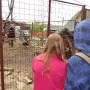 Spolupráce s ekocentrem a záchrannou stanicí Pasíčka u Proseče, 9. 5. 2014