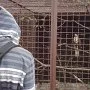 Spolupráce s ekocentrem a záchrannou stanicí Pasíčka u Proseče, 9. 5. 2014