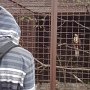 Spolupráce s ekocentrem a záchrannou stanicí Pasíčka u Proseče, 9. 5. 2014