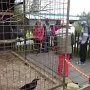 Spolupráce s ekocentrem a záchrannou stanicí Pasíčka u Proseče, 9. 5. 2014