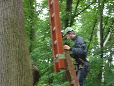Lanový park a IX. A, 20. 6. 2014