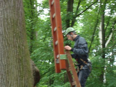 Lanový park a IX. A, 20. 6. 2014