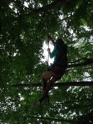 Lanový park a IX. A, 20. 6. 2014