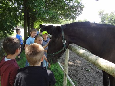 Muzeum barokních soch a hřebčín ve Slatiňanech, 17. 6. 2014
