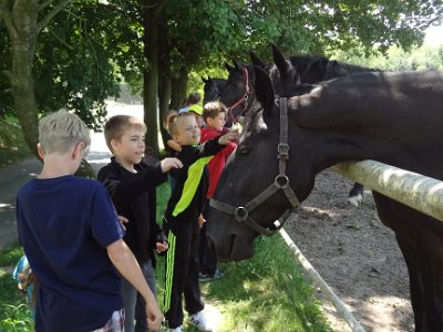 Muzeum barokních soch a hřebčín ve Slatiňanech, 17. 6. 2014