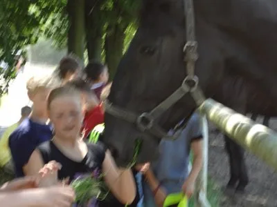 Muzeum barokních soch a hřebčín ve Slatiňanech, 17. 6. 2014