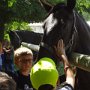 Muzeum barokních soch a hřebčín ve Slatiňanech, 17. 6. 2014