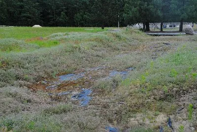 Oheň (bez)naděje, 27. 6. 2014