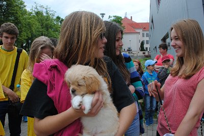 Zlato opět doma, 17. 6. 2014