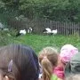 Pasíčka - Žáci prvního stupně, 19. 9. 2014