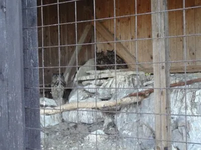 Pasíčka - Žáci prvního stupně, 19. 9. 2014