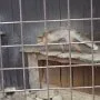 Pasíčka - Žáci prvního stupně, 19. 9. 2014