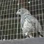 Pasíčka - Žáci prvního stupně, 19. 9. 2014
