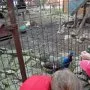 Pasíčka - Žáci prvního stupně, 19. 9. 2014