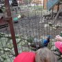 Pasíčka - Žáci prvního stupně, 19. 9. 2014