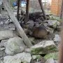 Pasíčka - Žáci prvního stupně, 19. 9. 2014