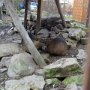 Pasíčka - Žáci prvního stupně, 19. 9. 2014