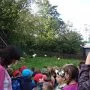 Pasíčka - Žáci prvního stupně, 19. 9. 2014