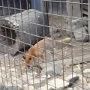 Pasíčka - Žáci prvního stupně, 19. 9. 2014