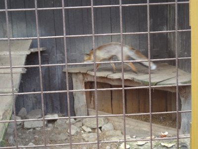 Pasíčka - Žáci prvního stupně, 19. 9. 2014
