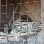 Pasíčka - Žáci prvního stupně, 19. 9. 2014