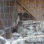 Pasíčka - Žáci prvního stupně, 19. 9. 2014