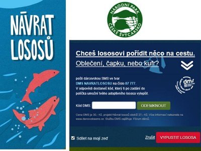 Pomáháme přírodě - adopce lososů v Českém Švýcarsku, 11. 9. 2014