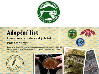 Pomáháme přírodě - adopce lososů v Českém Švýcarsku, 11. 9. 2014