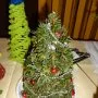 Advent je tu, 2. 12. 2014
