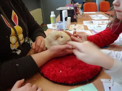 První vysvědčení, 5. 2. 2015