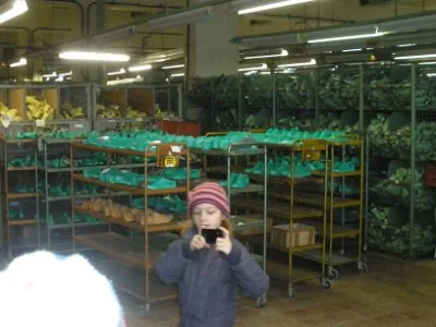 Botas a. s., 8. 3. 2015