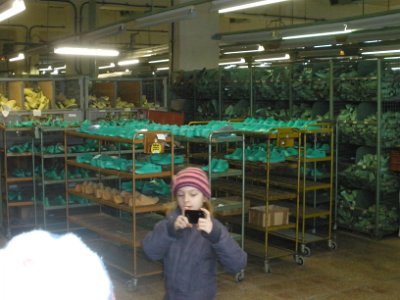 Botas a. s., 8. 3. 2015