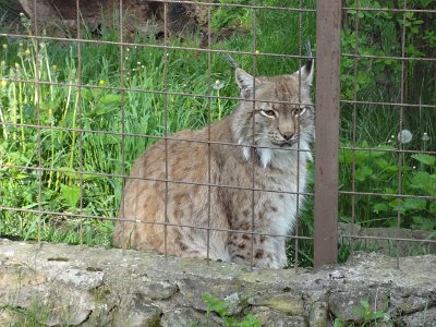 Mini škola v přírodě, 15. 5. 2015