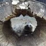 Mini škola v přírodě, 15. 5. 2015