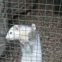 Mini škola v přírodě, 15. 5. 2015