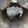 Mini škola v přírodě, 15. 5. 2015