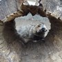 Mini škola v přírodě, 15. 5. 2015