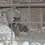 Mini škola v přírodě, 15. 5. 2015