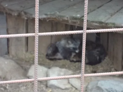 Mini škola v přírodě, 15. 5. 2015