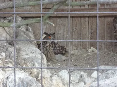 Mini škola v přírodě, 15. 5. 2015