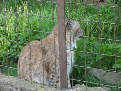 Mini škola v přírodě, 15. 5. 2015