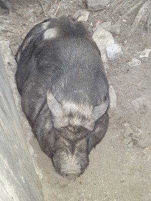 Mini škola v přírodě, 15. 5. 2015